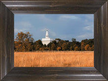 Load image into Gallery viewer, Nauvoo Fields