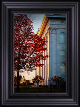 Load image into Gallery viewer, Nauvoo Hope For Tomorrow
