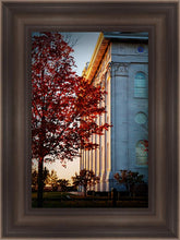Load image into Gallery viewer, Nauvoo Hope For Tomorrow