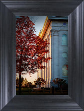 Load image into Gallery viewer, Nauvoo Hope For Tomorrow
