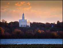 Load image into Gallery viewer, Nauvoo Miracle Of The Quail