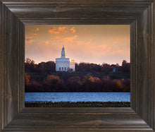 Load image into Gallery viewer, Nauvoo Miracle Of The Quail