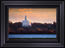 Load image into Gallery viewer, Nauvoo Miracle Of The Quail