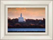 Load image into Gallery viewer, Nauvoo Miracle Of The Quail