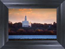 Load image into Gallery viewer, Nauvoo Miracle Of The Quail