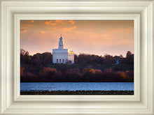 Load image into Gallery viewer, Nauvoo Miracle Of The Quail