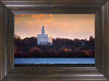 Load image into Gallery viewer, Nauvoo Miracle Of The Quail