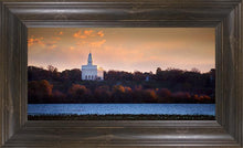 Load image into Gallery viewer, Nauvoo Miracle Of The Quail