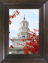 Load image into Gallery viewer, Nauvoo Red Leaves Over Spire