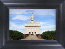 Load image into Gallery viewer, Nauvoo Summer Day