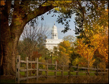 Load image into Gallery viewer, Nauvoo Young Street Farm