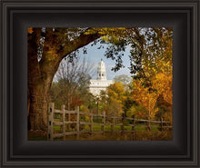 Load image into Gallery viewer, Nauvoo Young Street Farm