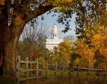 Load image into Gallery viewer, Nauvoo Young Street Farm