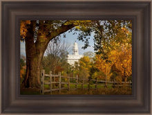 Load image into Gallery viewer, Nauvoo Young Street Farm