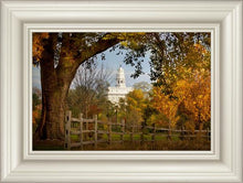 Load image into Gallery viewer, Nauvoo Young Street Farm