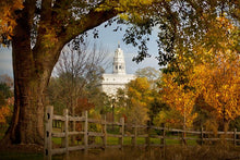 Load image into Gallery viewer, Nauvoo Young Street Farm