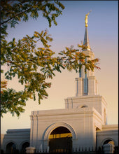 Load image into Gallery viewer, Sacramento Close Crop