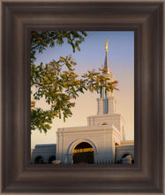 Load image into Gallery viewer, Sacramento Close Crop