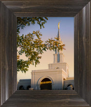 Load image into Gallery viewer, Sacramento Close Crop