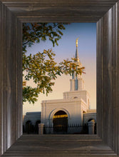 Load image into Gallery viewer, Sacramento Close Crop