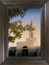 Load image into Gallery viewer, Sacramento Close Crop