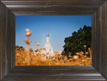 Load image into Gallery viewer, Sacramento Cotton Grass