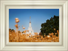Load image into Gallery viewer, Sacramento Cotton Grass