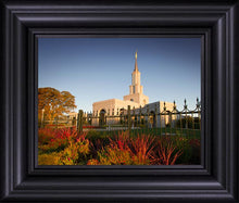 Load image into Gallery viewer, Sacramento Red Monkey Grass