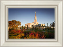 Load image into Gallery viewer, Sacramento Red Monkey Grass
