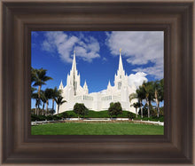 Load image into Gallery viewer, San Diego South Side