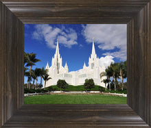 Load image into Gallery viewer, San Diego South Side