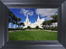 Load image into Gallery viewer, San Diego South Side