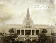 Load image into Gallery viewer, Phoenix Temple Vintage