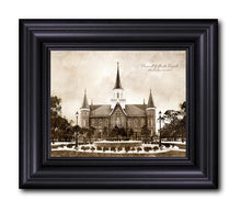 Load image into Gallery viewer, Provo CC Vintage
