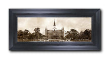 Load image into Gallery viewer, Provo CC Vintage