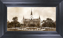 Load image into Gallery viewer, Provo CC Vintage