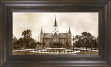 Load image into Gallery viewer, Provo CC Vintage