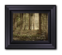 Load image into Gallery viewer, Sacred Grove