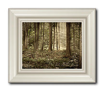 Load image into Gallery viewer, Sacred Grove
