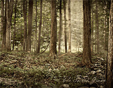 Load image into Gallery viewer, Sacred Grove