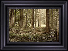 Load image into Gallery viewer, Sacred Grove