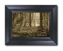 Load image into Gallery viewer, Sacred Grove