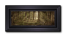 Load image into Gallery viewer, Sacred Grove