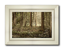 Load image into Gallery viewer, Sacred Grove