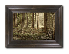 Load image into Gallery viewer, Sacred Grove