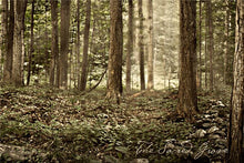 Load image into Gallery viewer, Sacred Grove