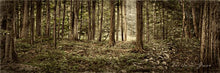 Load image into Gallery viewer, Sacred Grove