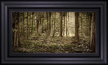 Load image into Gallery viewer, Sacred Grove