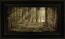 Load image into Gallery viewer, Sacred Grove