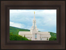 Load image into Gallery viewer, Bountiful Hillside
